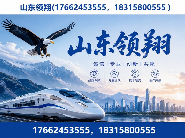 白沙山东领翔展示图